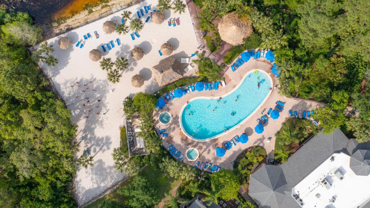 Cristina'S Tropical Villa/ Just Minutes From Disney! Kissimmee Eksteriør billede